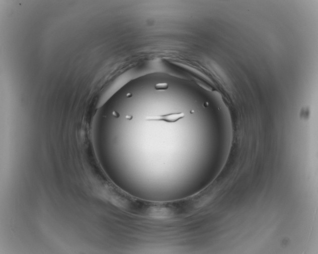 X0000091990169200709061425