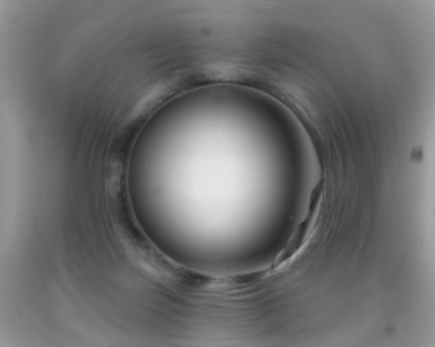 X0000091990171200709061425