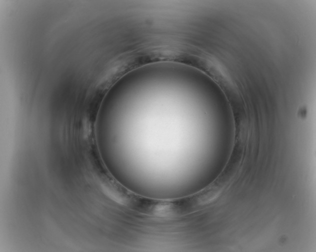 X0000091990173200709061425