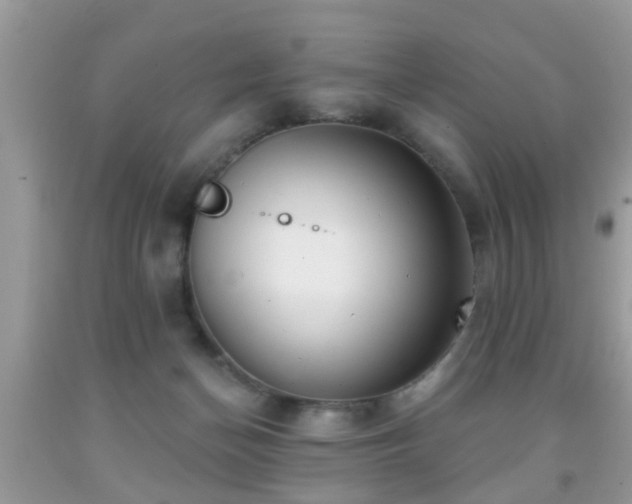 X0000091990174200709061425