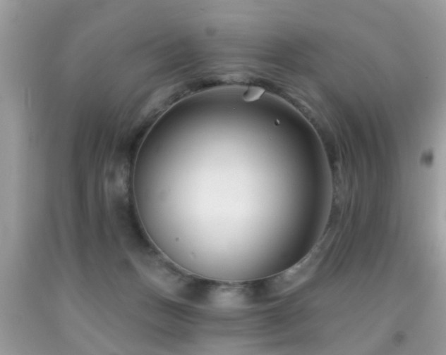 X0000091990175200709061425