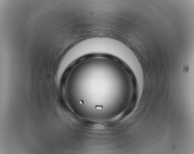 X0000091990176200709061425