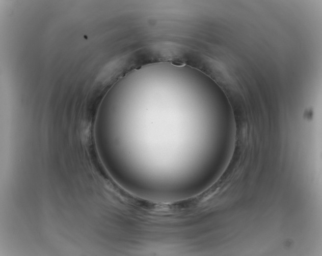 X0000091990177200709061425