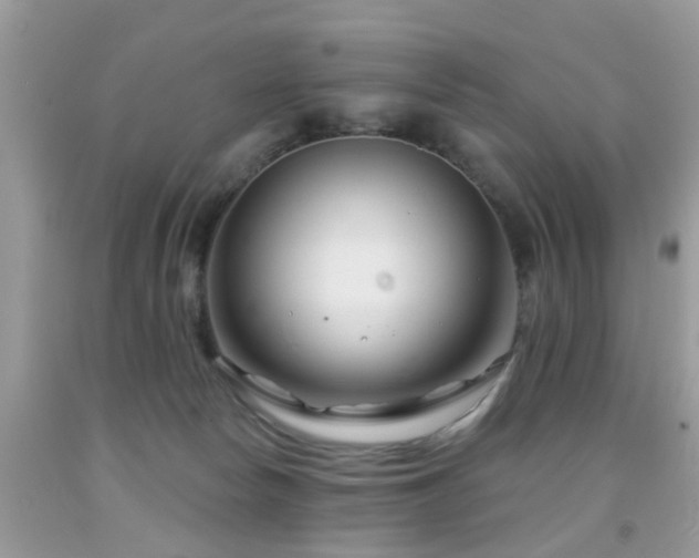 X0000091990178200709061425