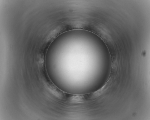 X0000091990179200709061425