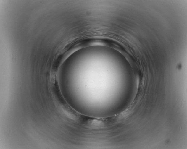 X0000091990180200709061425