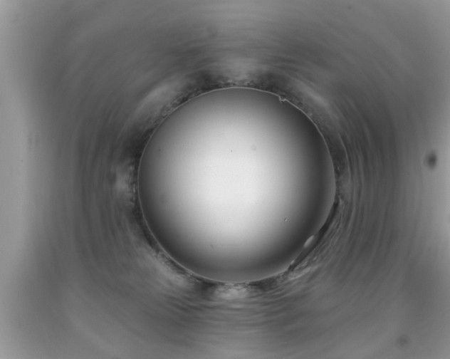 X0000091990181200709061425