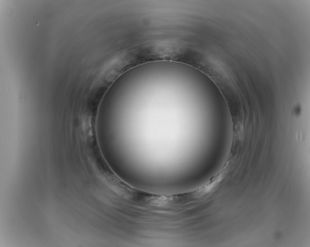 X0000091990182200709061425