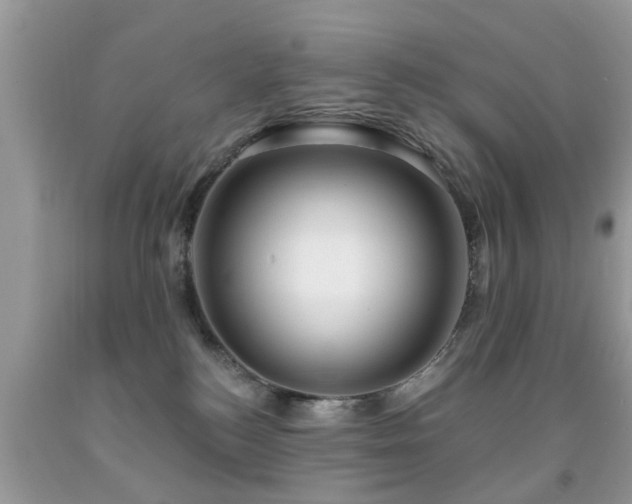 X0000091990184200709061425