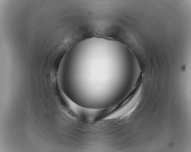 X0000091990186200709061426