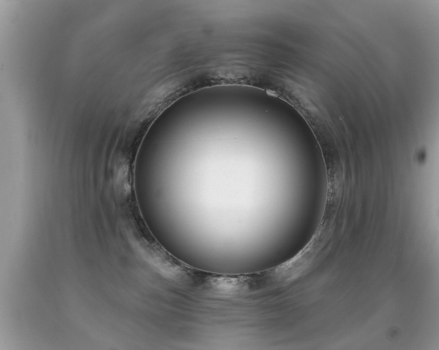 X0000091990187200709061426