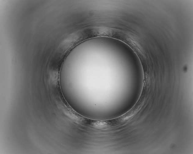 X0000091990189200709061426