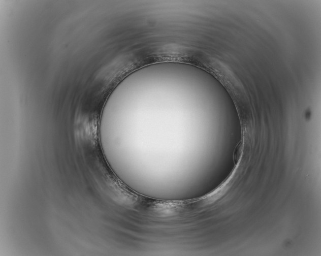 X0000091990190200709061426