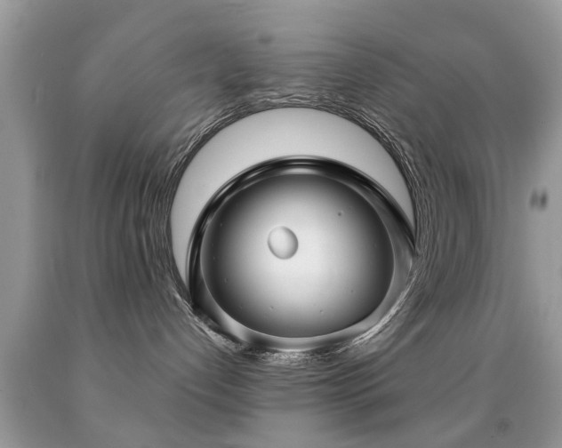 X0000091990192200709061426