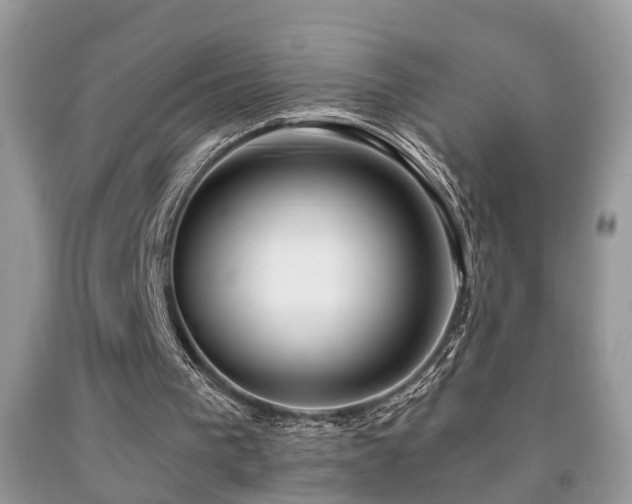 X0000091990193200709061425
