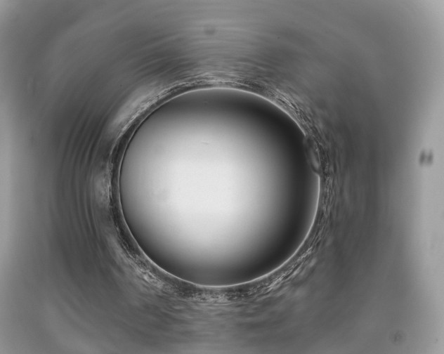 X0000091990194200709061425