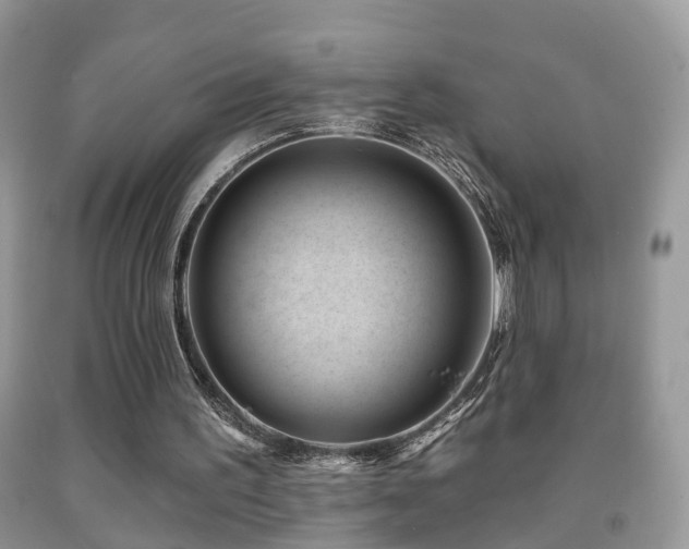 X0000091990195200709061425