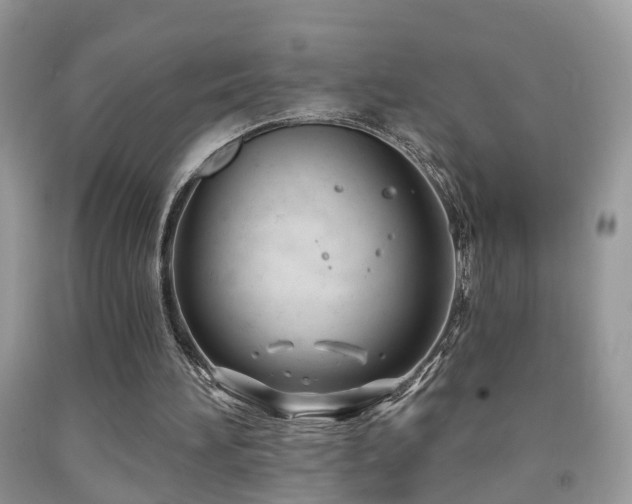 X0000091990196200709061425