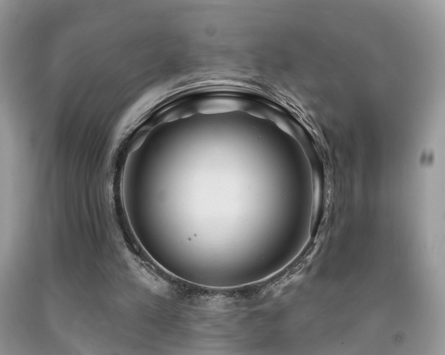 X0000091990197200709061425