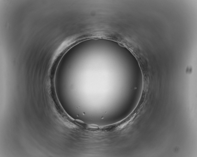 X0000091990198200709061425