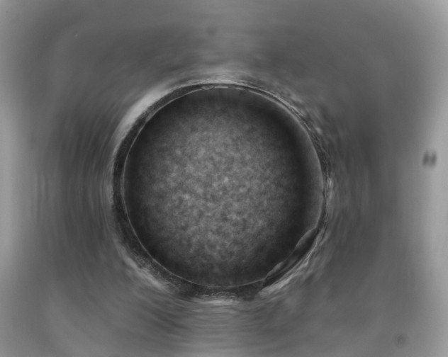 X0000091990200200709061425