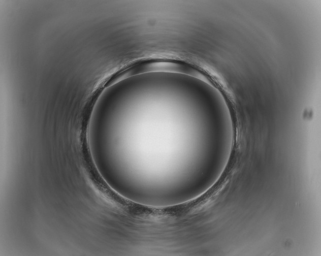 X0000091990201200709061425