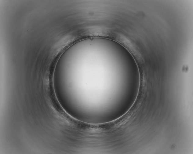 X0000091990202200709061425