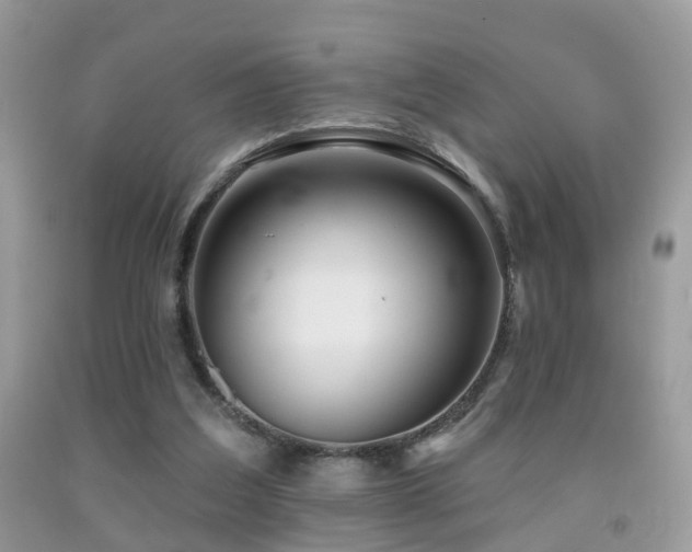 X0000091990203200709061425