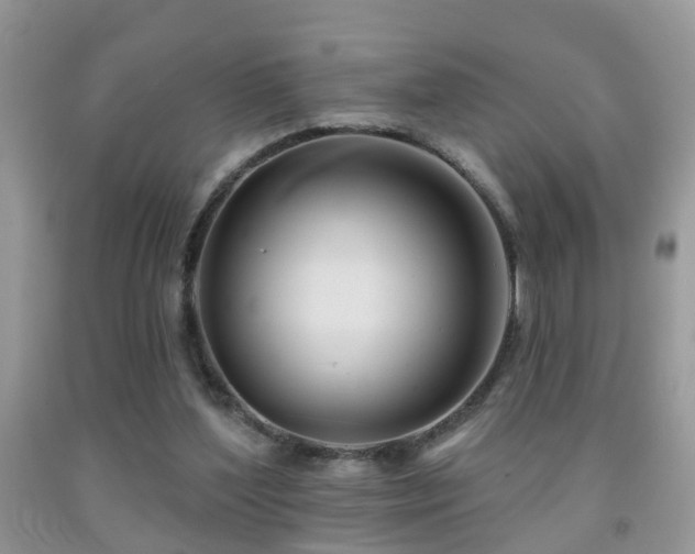 X0000091990204200709061425
