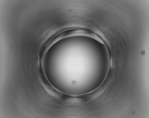 X0000091990205200709061425