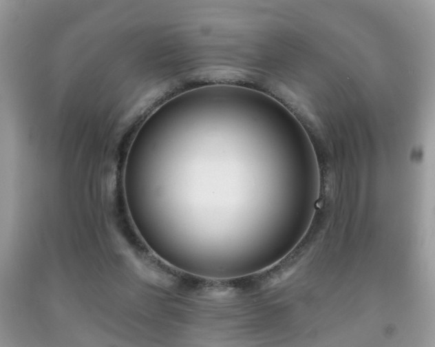 X0000091990206200709061425