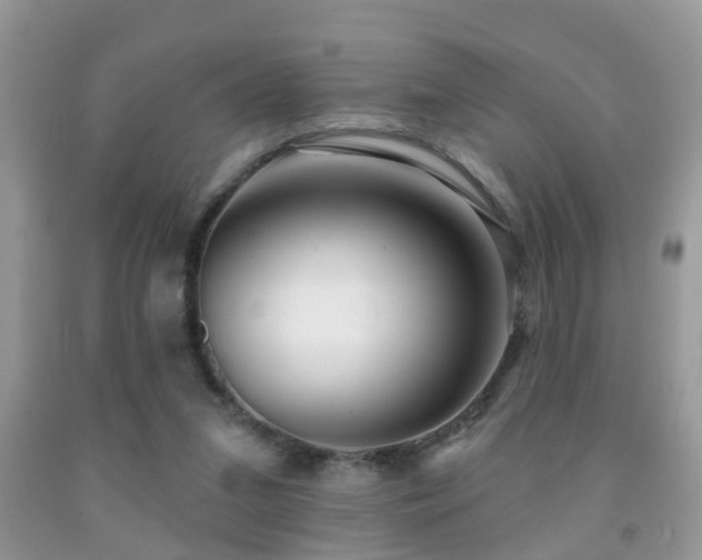 X0000091990207200709061425