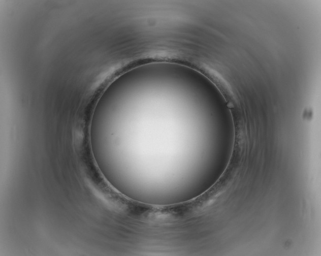 X0000091990208200709061425