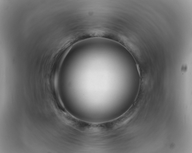 X0000091990209200709061425