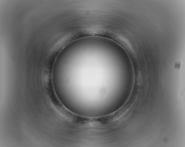 X0000091990210200709061425