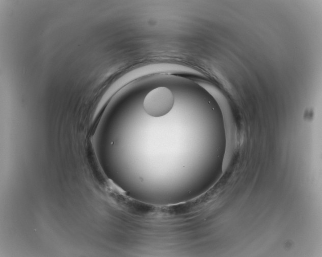 X0000091990211200709061425