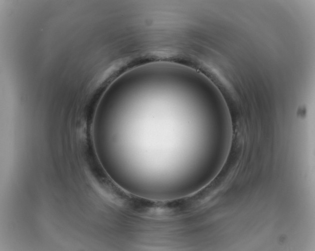 X0000091990212200709061425