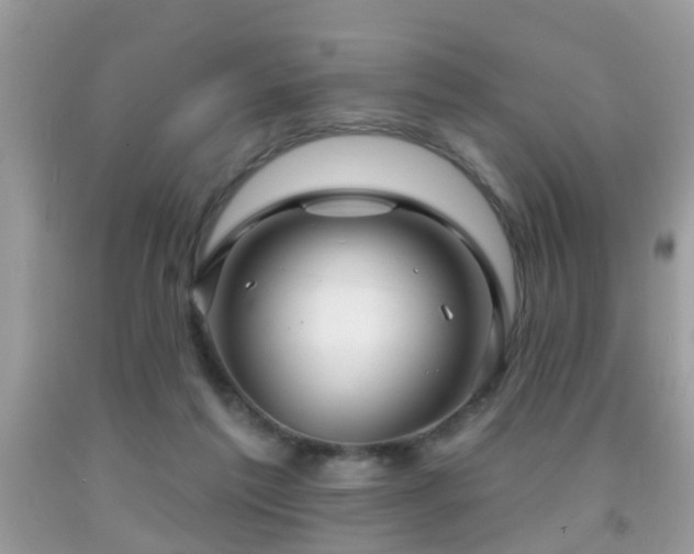 X0000091990213200709061425