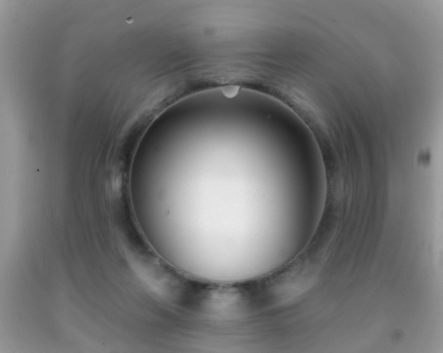 X0000091990214200709061425