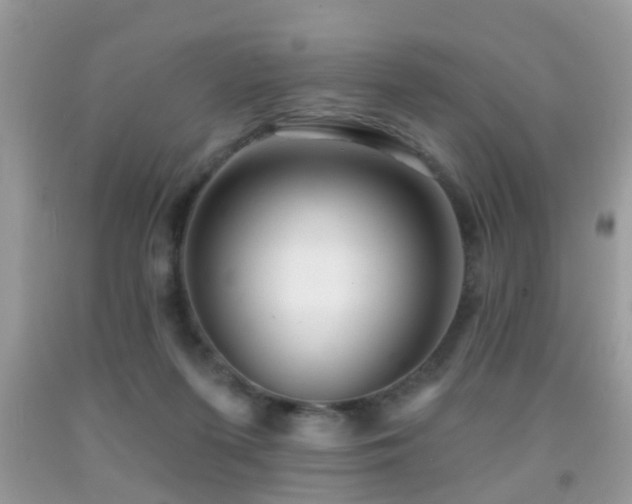 X0000091990215200709061425