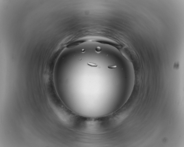 X0000091990216200709061425