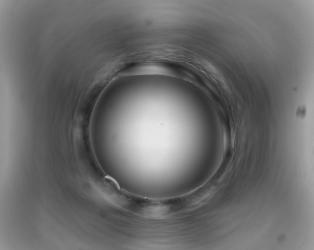 X0000091990217200709061425