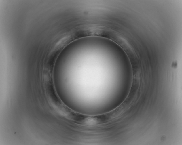 X0000091990218200709061425