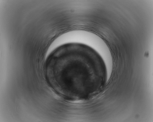 X0000091990219200709061425