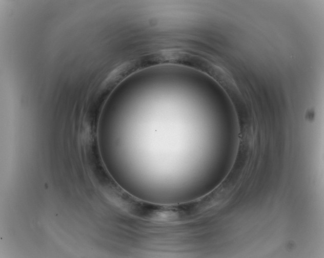 X0000091990220200709061425