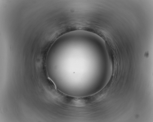 X0000091990221200709061425