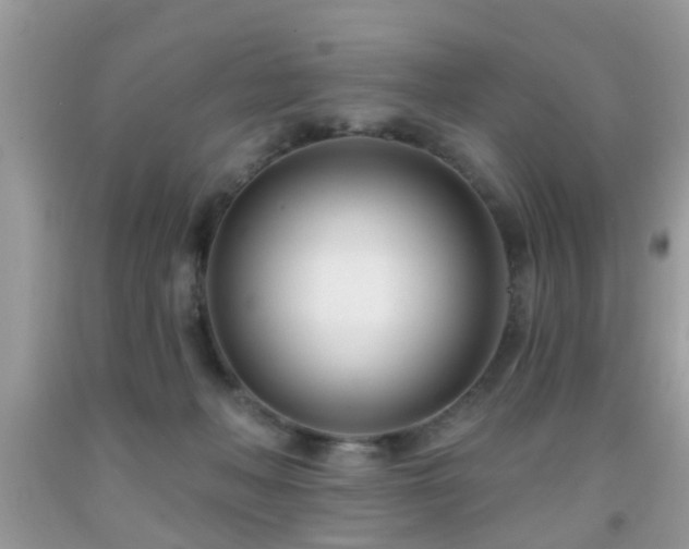 X0000091990222200709061425