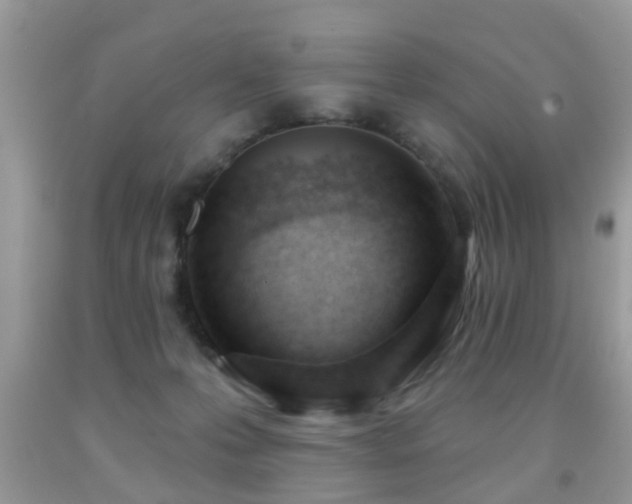 X0000091990223200709061425