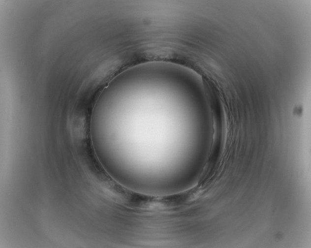 X0000091990224200709061425