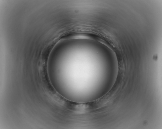 X0000091990225200709061425